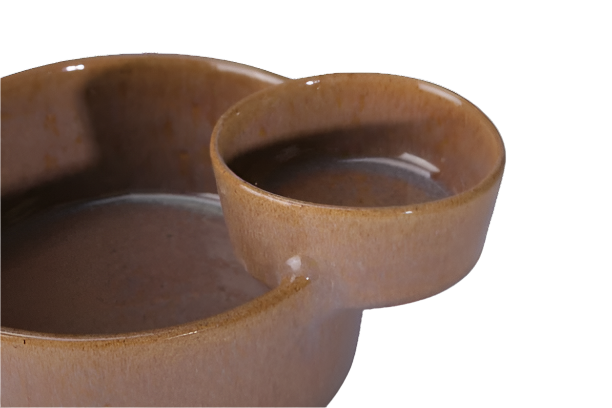 Dip & Eat Bowls (2-in-1) | Tan Edition