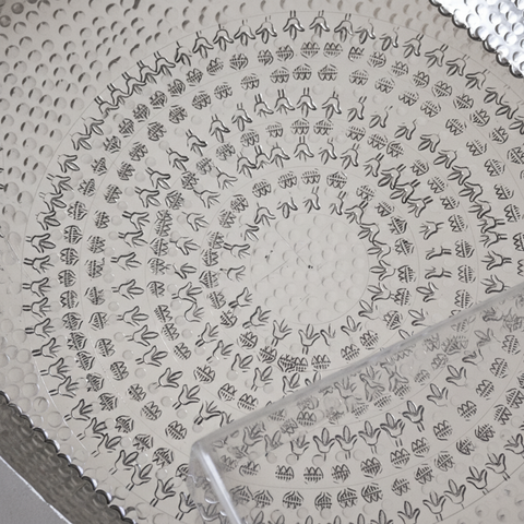 بلاتر مانيا (7 في 1) | نسخة الربيع