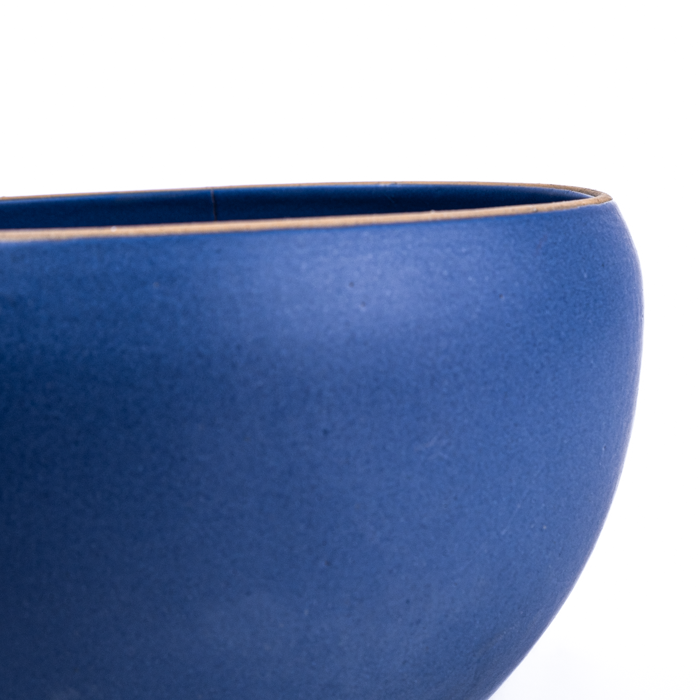 Blue Large Serving Bowl 