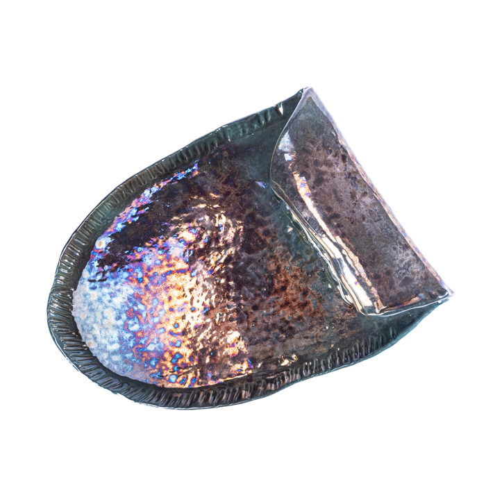 The Folded Platter | Green Fusion Edition